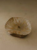PLLAKE QELQI