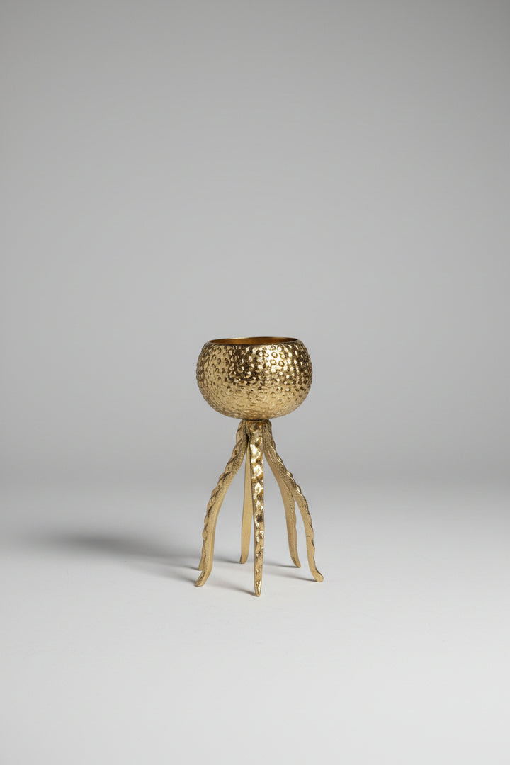 AKSESOR GOLD